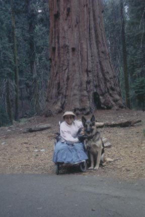 sequoiatreeelsaandme.gif